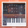 Minimoog OP-1 sample pack cover artwork